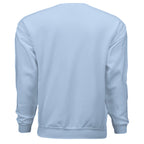 LIGHT BLUE - BACK